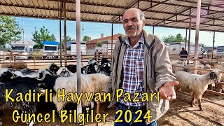 2024 En Güncel Osmaniye Kadirli Hayvan Pazarı Fiyatları  Piyasada Neler Oluyor 1Bölüm [upl. by Newmann]