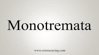 How To Say Monotremata [upl. by Tegan]