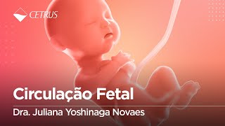 Circulação Fetal  Dra Juliana Yoshinaga Novaes [upl. by Geis]