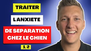 Anxiété de séparation avec votre chien  Faites ceci [upl. by Madge270]