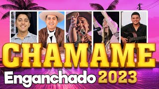 Chamame Enganchado 2023🎶 SELE VERA IVAN RUIZ ALMA CHAQUEÑA CHRISTIAN HERRERA [upl. by Lundeen]