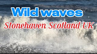 Capturing Seascapes Wild waves StonehavenScotland mercywareham11 [upl. by Dust]