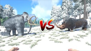 Mammoth VS Woolly Rhino  ARK Survival Evolved 2021 [upl. by Bajaj]