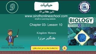 Kingdom Monera  Biology Class 9 Chapter 3 Lecture 10  Sindh Online School [upl. by Oahc738]