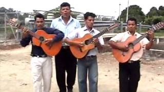 Pasillos y pasacalles ecuatorianos guitarras  Santa Lucía Guayas Ecuador [upl. by Colston]