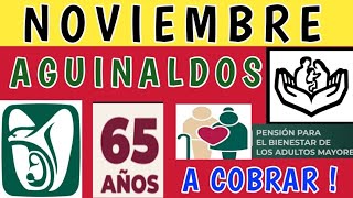 💥NOVIEMBRE AGUINALDOS A COBRAR  PENSIONES IMSS E ISSSTE  PAGOS BIENESTAR EN NOVSALUD CASA X CASA [upl. by Notse]