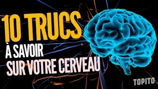 Top 10 des choses que vous ignoriez sur votre cerveau [upl. by Ahsiya198]