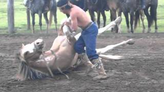 Horse Skills of the Gauchos of Argentina [upl. by Ahsinna]