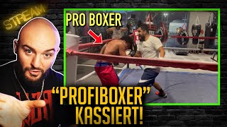 Edmon reagiert auf Ich habe einen ProfiBoxer gedemütigt  Stream Highlights [upl. by Idnas]