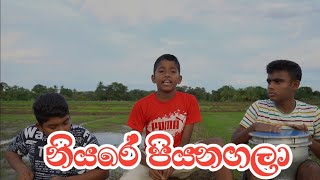 Niyare piyanagalaà¶±à·’à¶ºà¶»à·š à¶´à·’à¶ºà¶±à¶œà¶½à· Durbak cover [upl. by Ilsa]