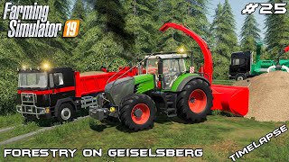 Making wood chips with NMC Griffin  Forestry on Geiselsberg  Farming Simulator 19  Episode 25 [upl. by Atteram]