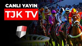 TJK TV Canlı Yayın [upl. by Levania]