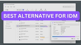 New Best Download Manager For Windows 1011 in 2024  Best IDM Alternatives  AB Download Manager [upl. by Adnawad159]