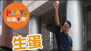 Play 爸媽不累3 I Puro EggShock吸震實驗篇 [upl. by Estele]