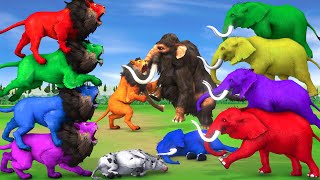 5 Elephants vs 5 Lions attack African Elephant Cow Cartoon Save by Woolly Mammoth Animal Revolt [upl. by Narcho]