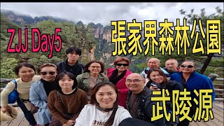 ZJJ 张家界 ZhangJiaJie Day5  武陵源 国家森林公园 [upl. by Artemed314]