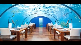 Ithaa Undersea Restaurant at Conrad Maldives Rangali Island  Vacanze in Barca  Tour Operator [upl. by Tloh]