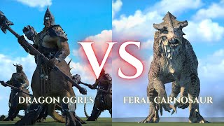 WARHAMMER III Total War  Dragon Ogres VS Feral Carnosaur [upl. by Anehsuc]