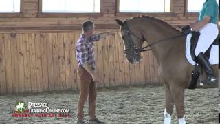 Dressage With Dr Ulf Moller  Hands And Connection [upl. by Levitus103]