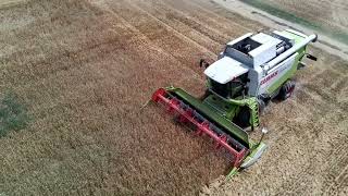 Weizenernte in Rheinhessen mit Claas Lexion 550 Case und Fendt Aufnahme mit Potensic Atom [upl. by Ennovy]