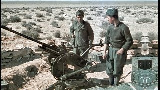 Italian AntiAircraft Artillery of World War II [upl. by Panthea608]