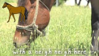 Old MacDonald Had A Farm lyrics on screen sing along [upl. by Notserc]