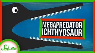 This Ichthyosaur Terrorized the Triassic Seas [upl. by Itoyj]