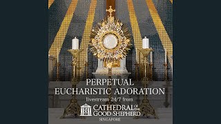 Perpetual 247 Eucharistic Adoration Prayer Mission [upl. by Edaw]