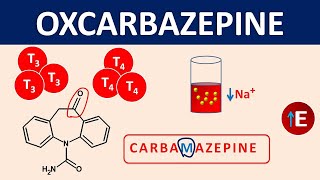 Oxcarbazepine  Mechanism side effects precautions amp uses [upl. by Rahel]