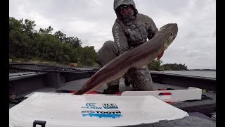 Epic Muskies on Lake of the Woods [upl. by Daj]