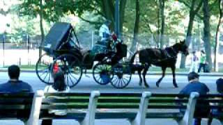 Hansom Cab Central Park [upl. by Ahsyle]