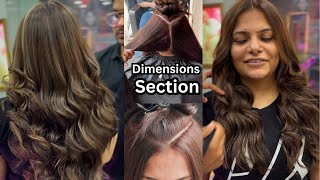 Right Way Of Hair Color Technique Dimension Sectioning Deposit Shade  Hair Color  Salonfact [upl. by Enimrej]