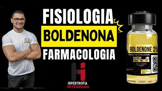 Boldenona  Fisiologia e Farmacologia [upl. by Ennairoc227]