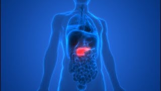 Episode 342  Why You Must Keep Your Pancreas Healthy [upl. by Watkins]