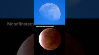 Der Mond am Tag widerlegt eine flache Erde shorts flatearth flatearthdebunked astronomy [upl. by Pillow]