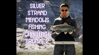 Updated Silver Strand Meadows Fishing Challenge Bronze 2 [upl. by Aipmylo]