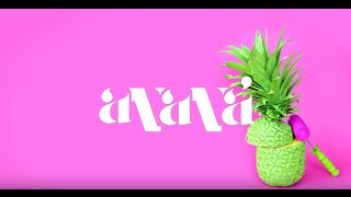 Ananá  Frutica pal alma Official Lyric Video [upl. by Alodie]