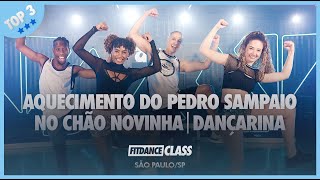 Aquecimento do Pedro Sampaio  No chão novinha  Dançarina  Top 3  FitDance Coreografia [upl. by Artenek]