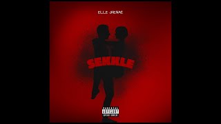 Elle Jhenaé  Sekkle Official Audio [upl. by Sallie]