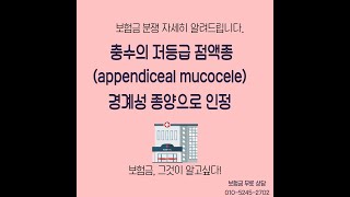 충수의 저등급 점액종appendiceal mucocele 경계성 종양으로 인정 되는 경우를 알려드립니다 보험금 무료 상담 TEL 01052452702 [upl. by Gaw386]