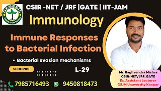 Immune Response to Bacterial Infection  Bacterial evasion mechanisms  Immunologygenesisinstitute [upl. by Nannoc387]