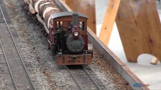 Live Steam Model Train 4 [upl. by Althea]