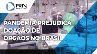 Pandemia prejudica doação de órgãos no Brasil [upl. by Aicilla733]