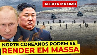 😱🔥Soldados nortecoreanos podem se render em massa na Ucrânia Kiev oferece asilo a eles [upl. by Anuahsat]