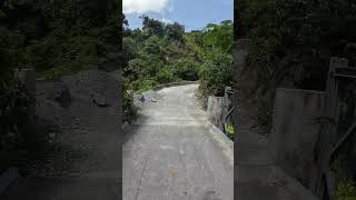 Bridge Over Cool Waters jamaica nature river hike [upl. by Saidee462]