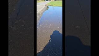 Pouring a Driveway Transition [upl. by Benedick]