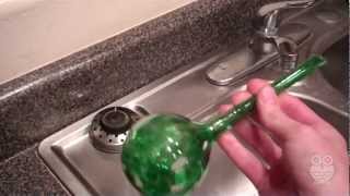 Aqua Globes Review Will They Keep Your Plants Healthy [upl. by Llerrat477]