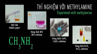 Thí nghiệm với methylamine CH3NH2  Quỳ tím CH3NH2  HCl CH3NH2  CuSO4 CH3NH2  FeCl3 [upl. by Agnella]