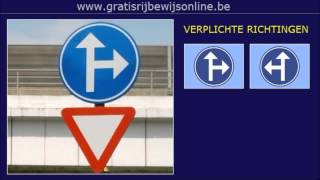 GRATIS RIJBEWIJS ONLINE 23 Rijbewijs B  VERPLICHTE RIJRICHTING  EENRICHTINGSVERKEER [upl. by Edak610]