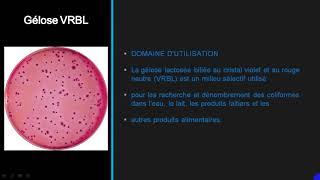 DENOMBREMENT DES COLIFORMES ET DES STREPTOCOQUES FECAUX [upl. by Assile]